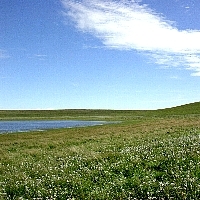 内モンゴル・草原
